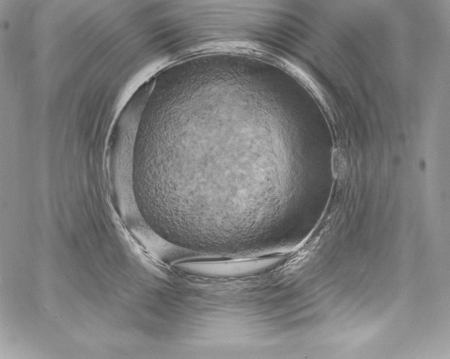 X0000058801050200510211834