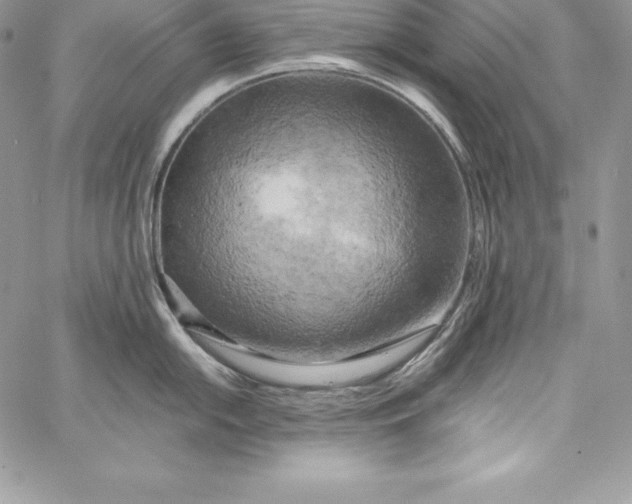X0000058801054200510211834