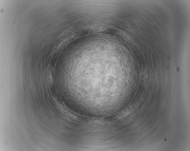 X0000058801058200510211833