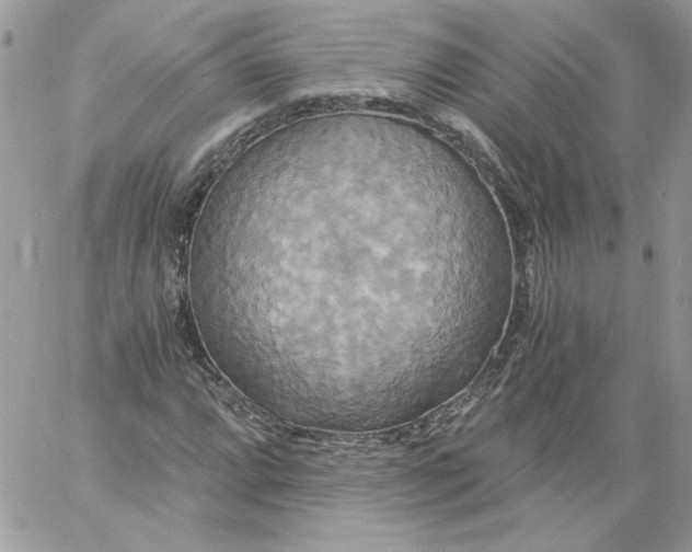X0000058801064200510211833