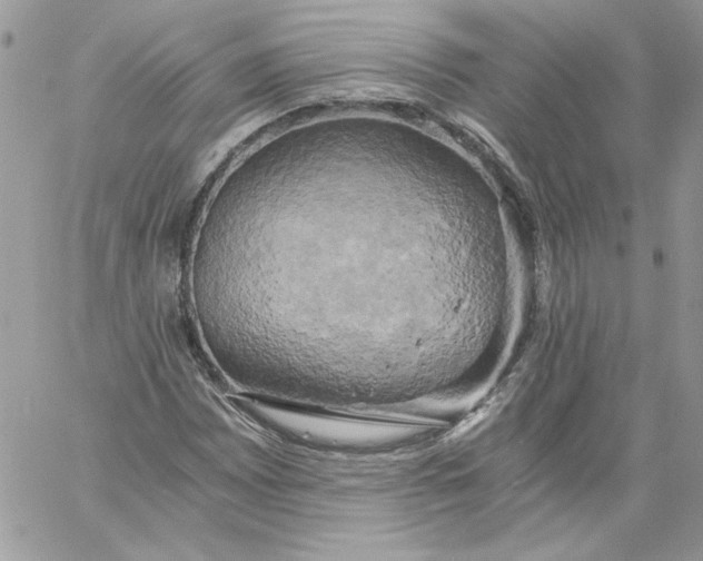 X0000058801065200510211833