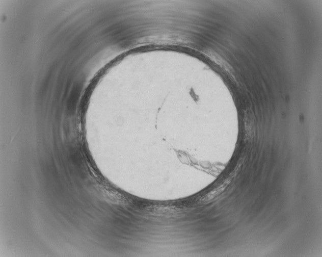 X0000058801070200510211833