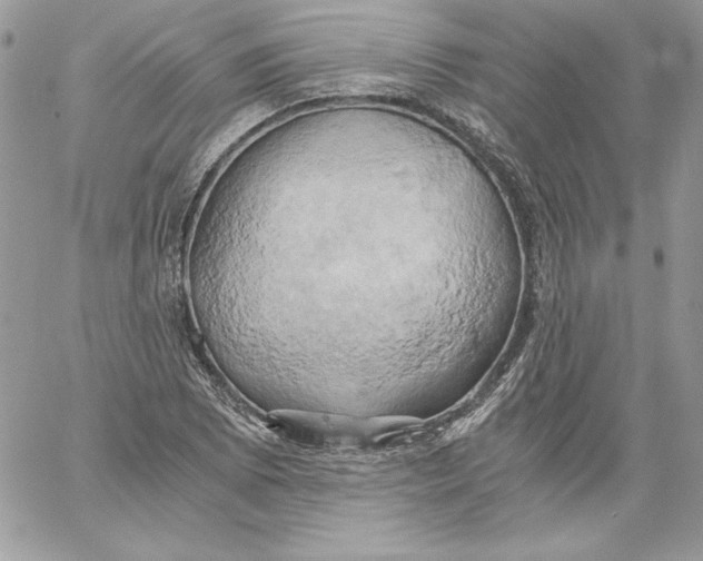 X0000058801073200510211833