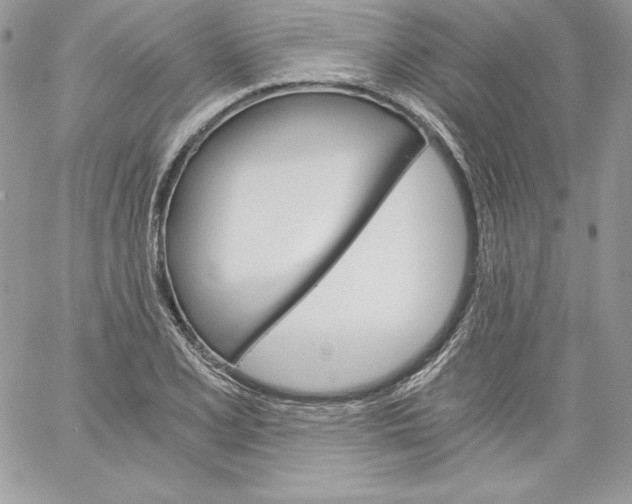 X0000058801077200510211833