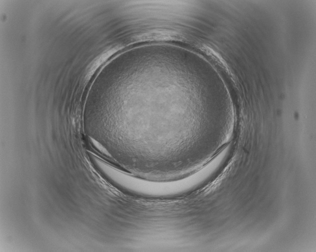 X0000058801081200510211833