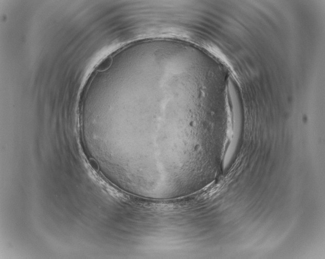X0000058801088200510211833