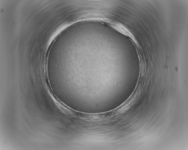 X0000058801101200510211833