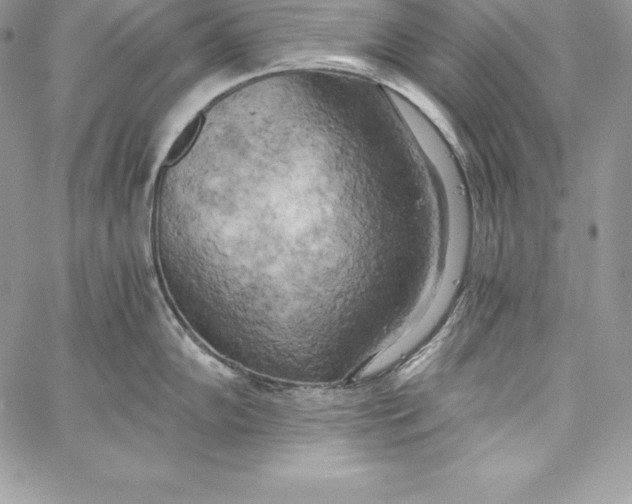 X0000058801102200510211833