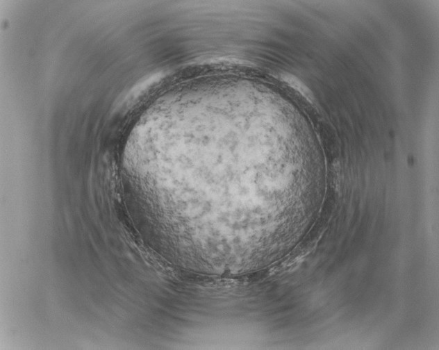 X0000058801111200510211832