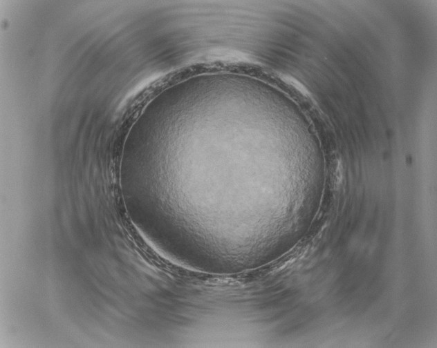 X0000058801112200510211832