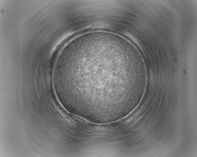 X0000058801115200510211832