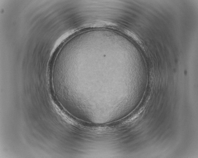 X0000058801122200510211832