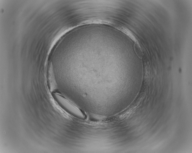 X0000058801132200510211832
