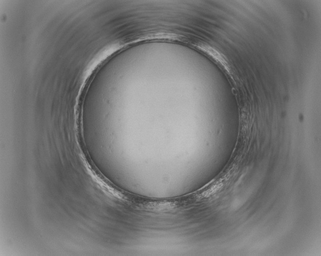 X0000058801135200510211832