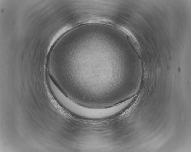 X0000058801138200510211832