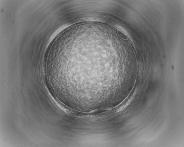 X0000058801141200510211832