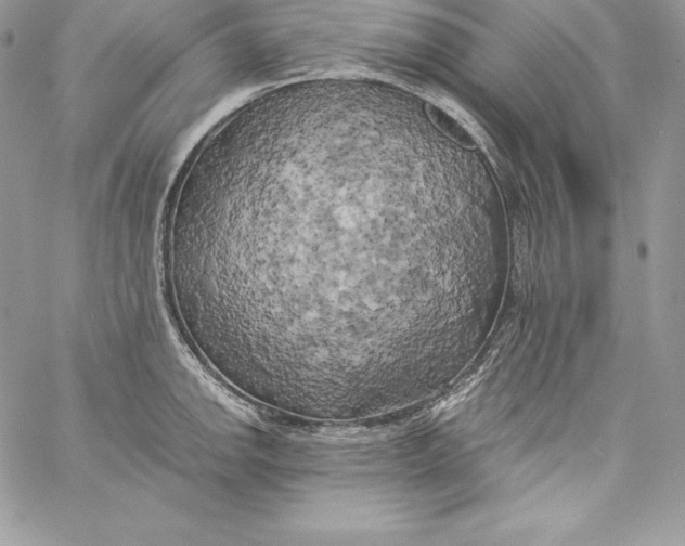 X0000058801142200510211832