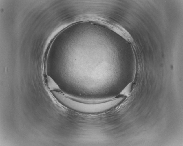 X0000058801144200510211832