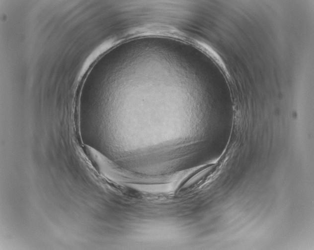 X0000058801146200510211832