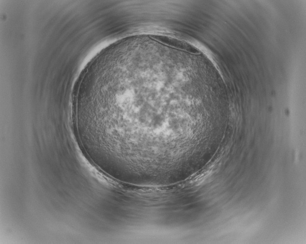 X0000058801147200510211832