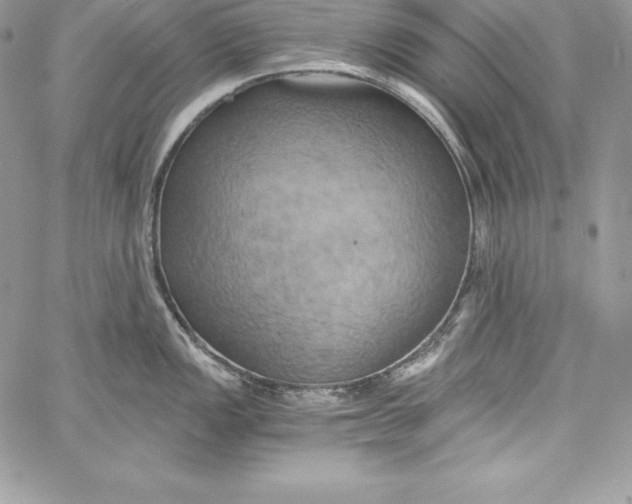 X0000058801149200510211832