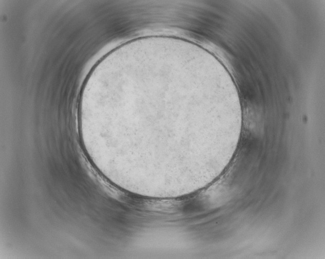 X0000058801150200510211832