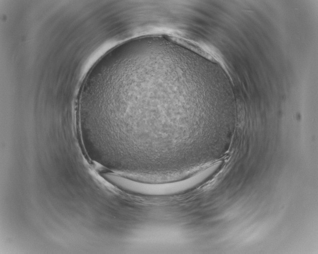 X0000058801151200510211833