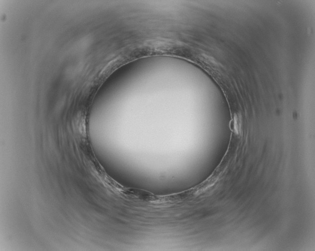 X0000058801155200510211832