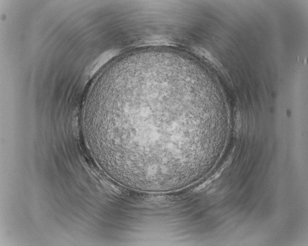 X0000058801162200510211832