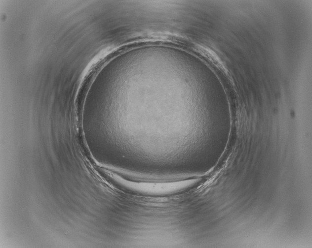 X0000058801172200510211831