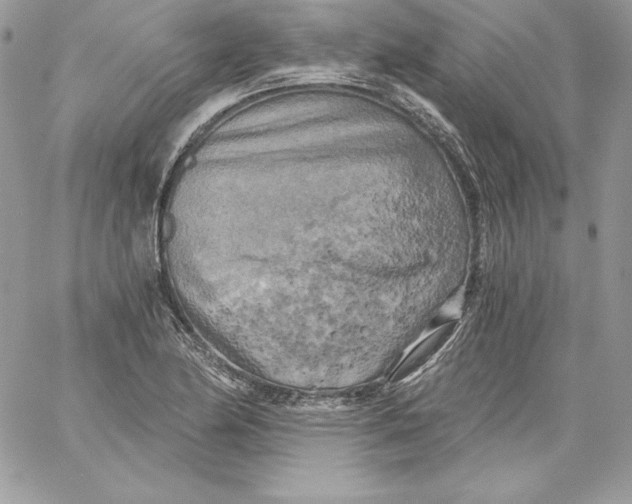 X0000058801174200510211831