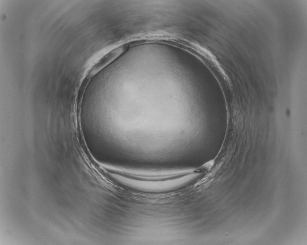 X0000058801176200510211831