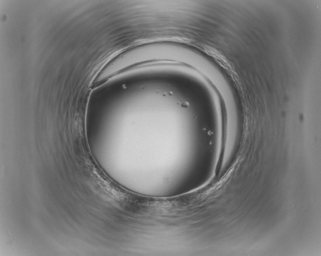 X0000058801177200510211831