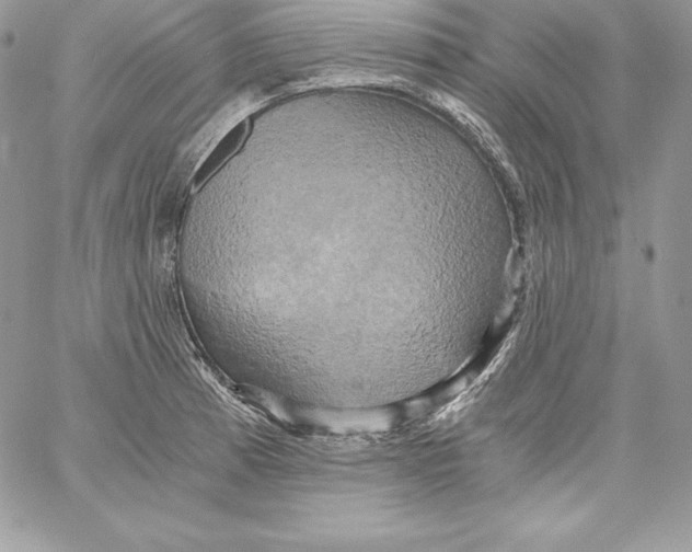 X0000058801185200510211831