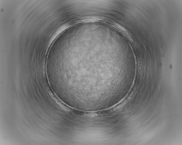 X0000058801186200510211831