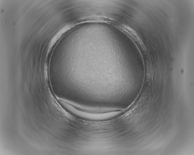 X0000058801188200510211831