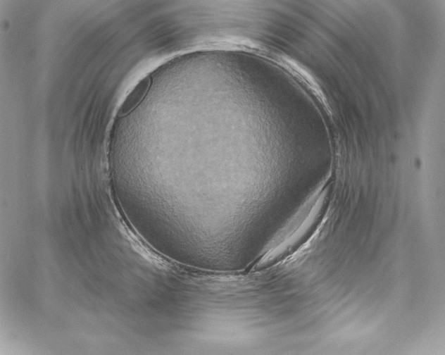 X0000058801192200510211831