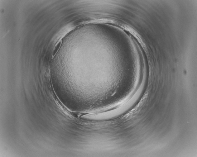 X0000058801193200510211831