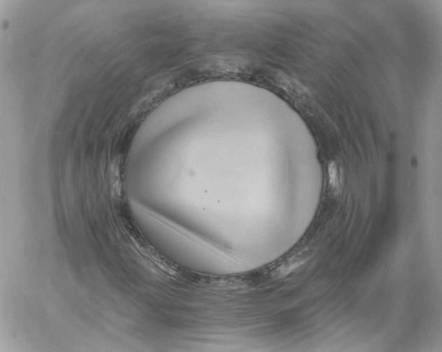 X0000058801203200510211830