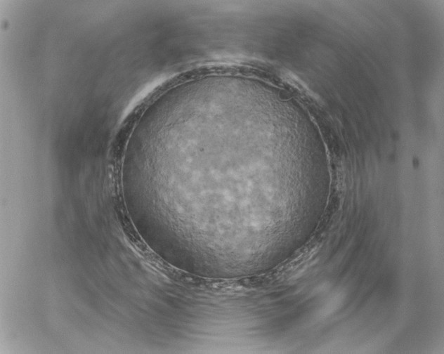 X0000058801208200510211830