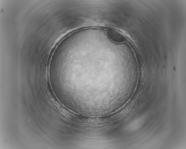 X0000058801220200510211831