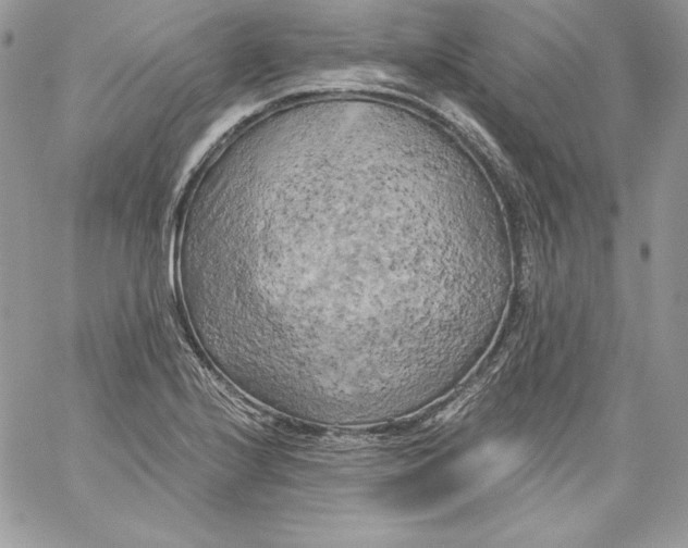 X0000058801224200510211831