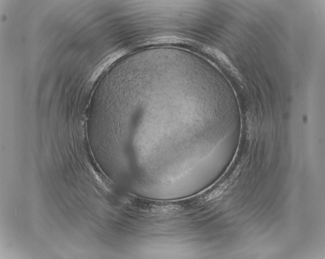 X0000058801225200510211831