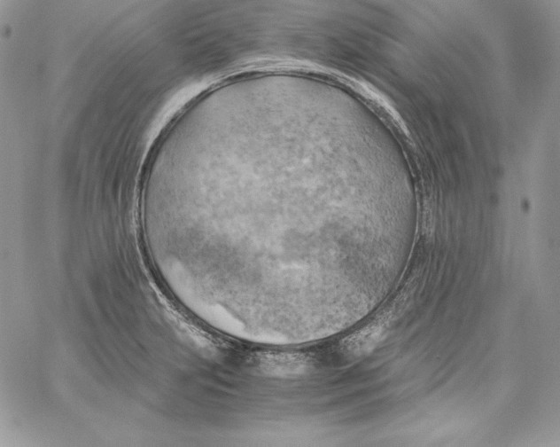 X0000058801231200510211831