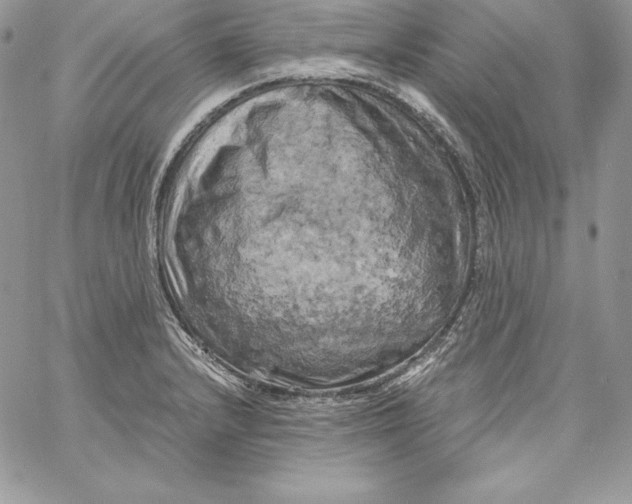 X0000058801232200510211831