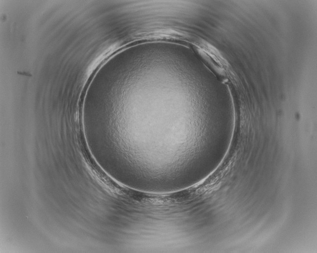 X0000058801234200510211831