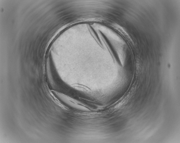 X0000058801236200510211831