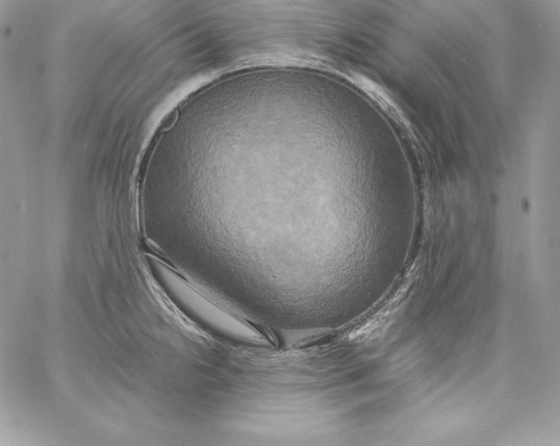X0000058801238200510211831