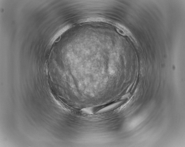 X0000058801241200510211831