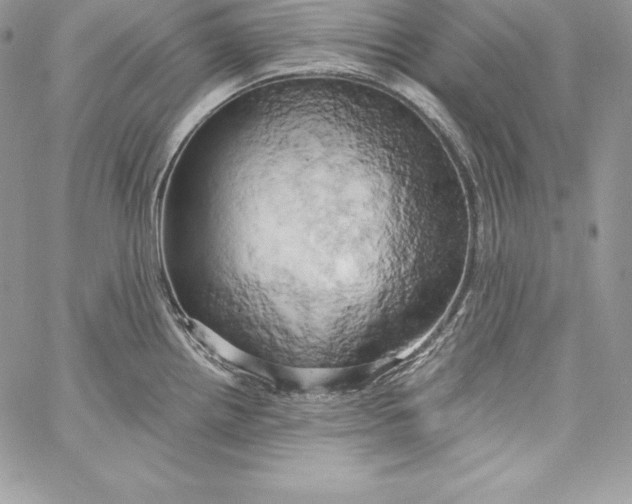 X0000058801242200510211831